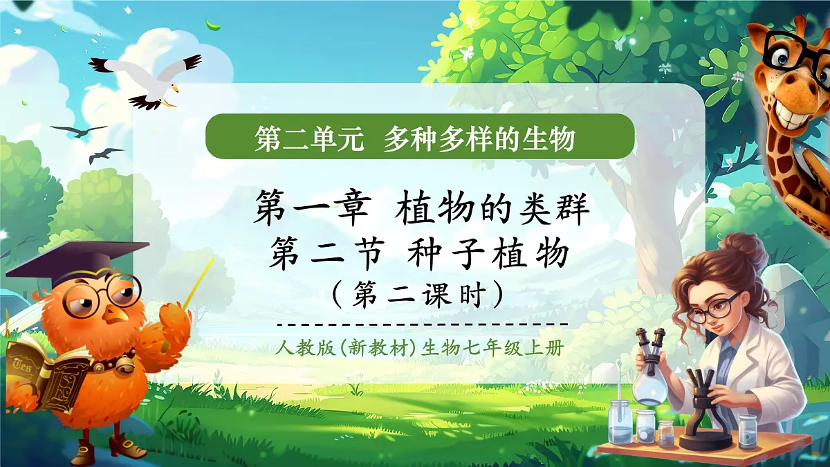 《2.1.2.2种子植物(第二课时)》课件第1页