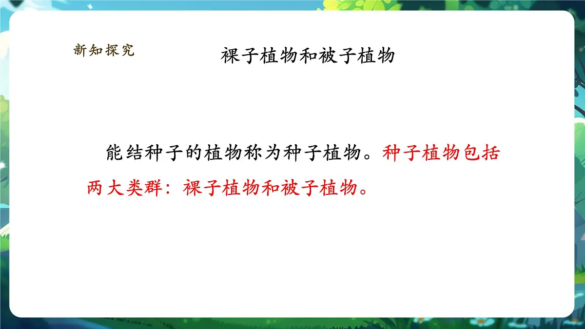 《2.1.2.2种子植物(第二课时)》课件第4页