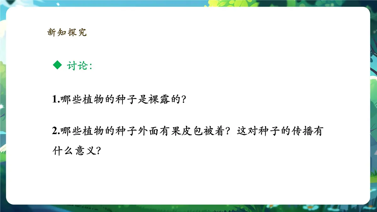 《2.1.2.2种子植物(第二课时)》课件第6页