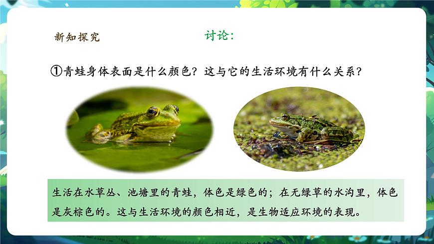 《2.2.2.2兩棲動物和爬行動物（第一課時）》課件第8頁