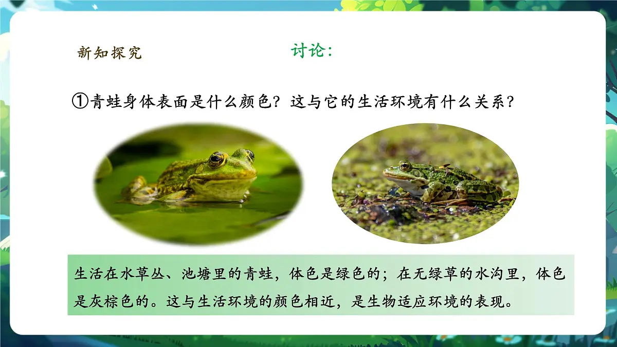 《2.2.2.2两栖动物和爬行动物(第一课时)》课件第8页