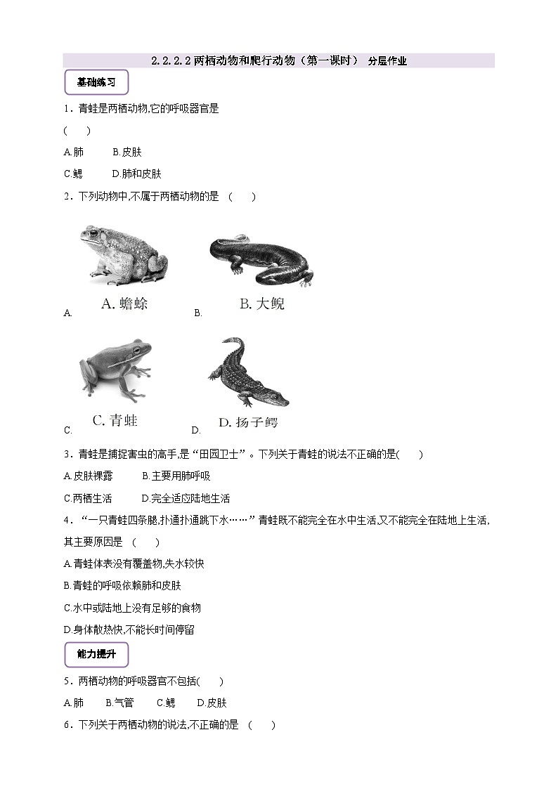 《2.2.2.2兩棲動物和爬行動物（第一課時）》 分層作業(yè)第1頁