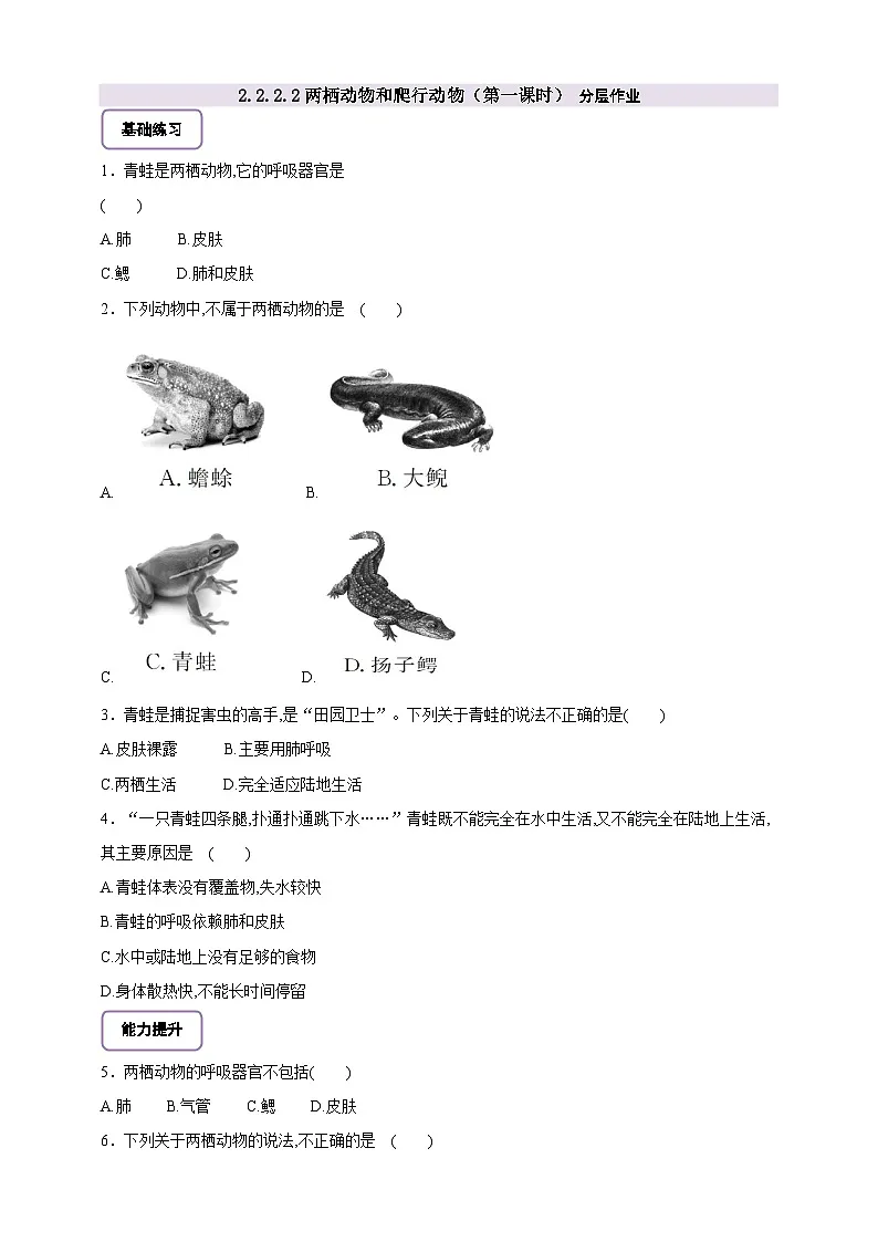 《2.2.2.2两栖动物和爬行动物(第一课时)》 分层作业第1页
