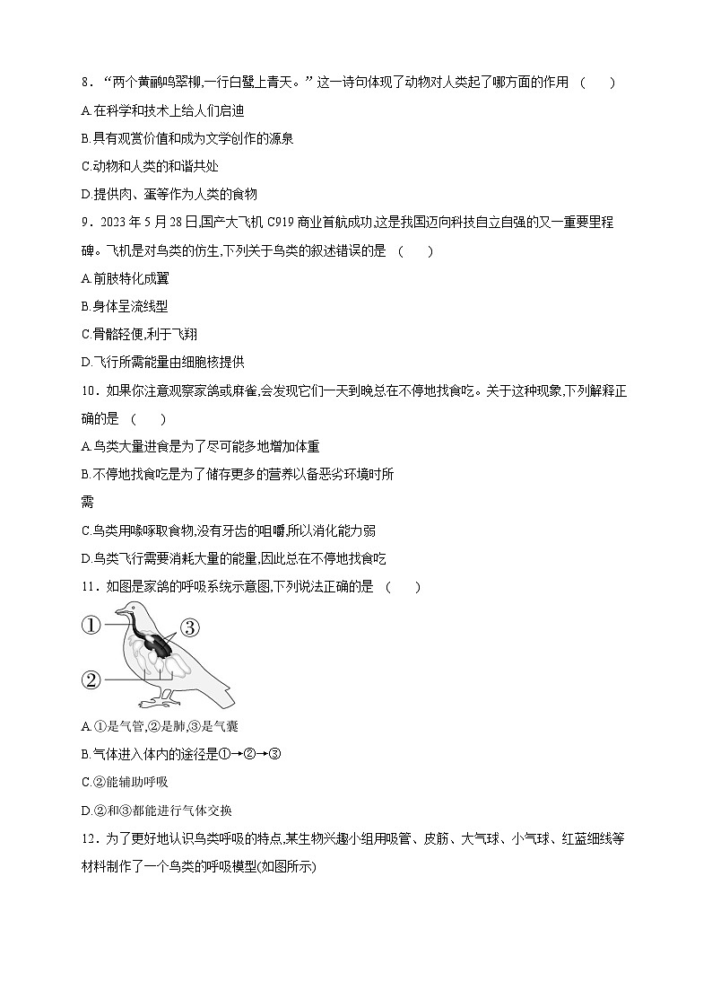 《2.2.2.3鳥和哺乳動(dòng)物（第一課時(shí)）》分層作業(yè)第2頁(yè)