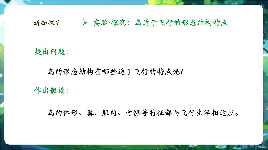 《2.2.2.3鳥和哺乳動(dòng)物（第一課時(shí)）》課件第6頁(yè)