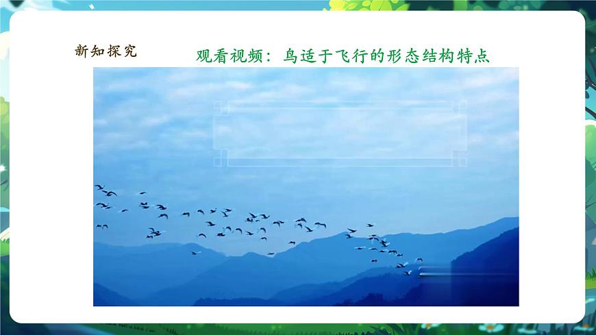《2.2.2.3鳥和哺乳動(dòng)物（第一課時(shí)）》課件第7頁(yè)