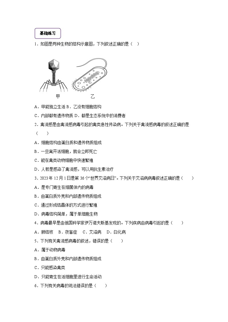 《2.3.4.2病毒(第二課時)》分層作業(yè)第1頁