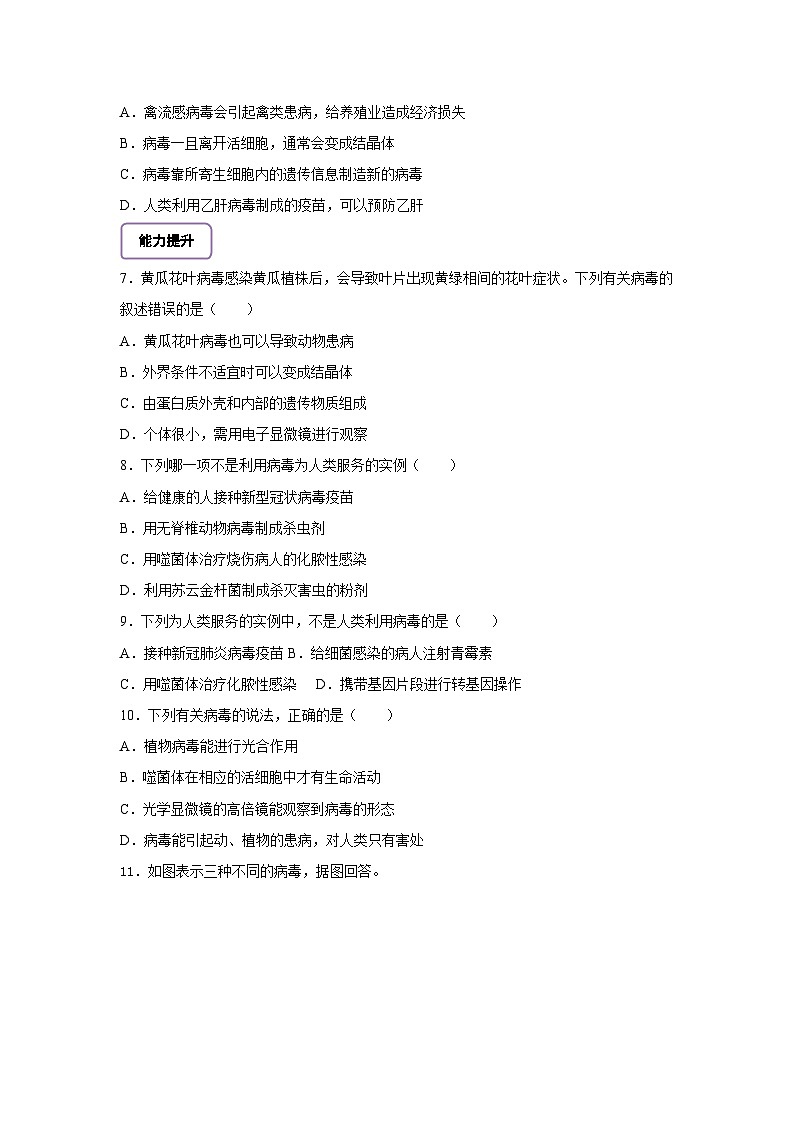 《2.3.4.2病毒(第二課時)》分層作業(yè)第2頁