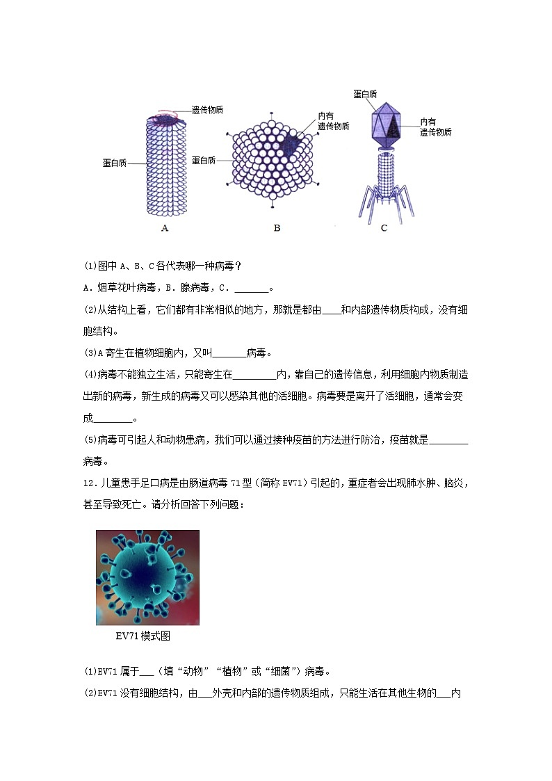 《2.3.4.2病毒(第二課時)》分層作業(yè)第3頁