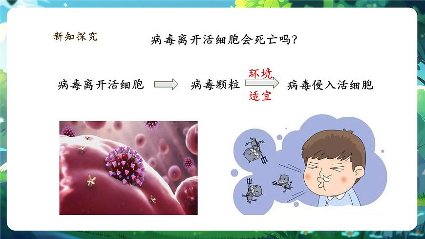 《2.3.4.2病毒(第二課時)》課件第7頁