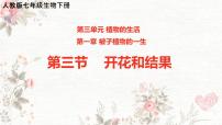 初中生物人教版（2024）七年级下册（2024）开花和结果教课内容课件ppt