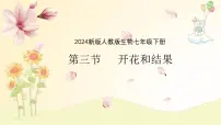 人教版（2024）七年级下册（2024）开花和结果课文内容课件ppt