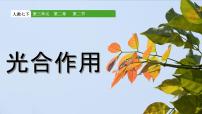 人教版（2024）七年级下册（2024）光合作用图片课件ppt