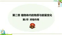 人教版（2024）呼吸作用评课ppt课件