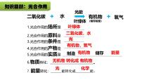 初中生物人教版(2024)七年级下册(2024)呼吸作用教学ppt课件
