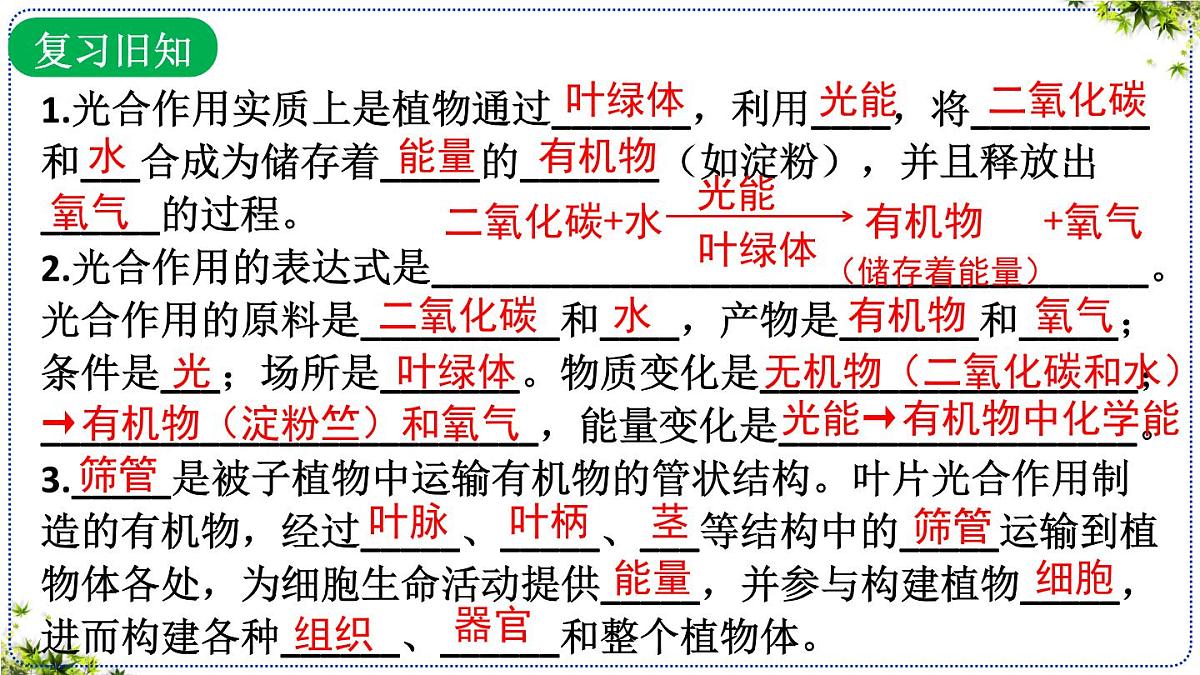 3.2.3 呼吸作用 课件 2025学年人教版生物学七年级下册第2页