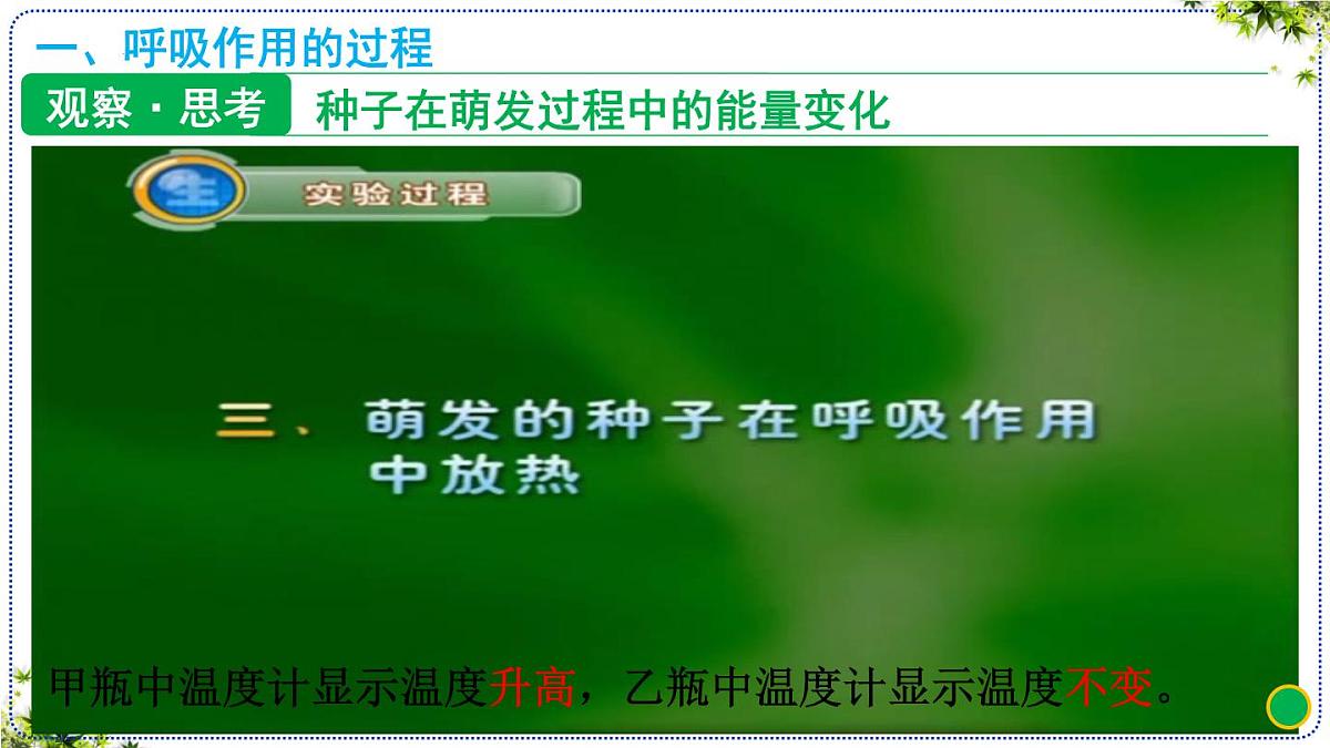 3.2.3 呼吸作用 课件 2025学年人教版生物学七年级下册第5页