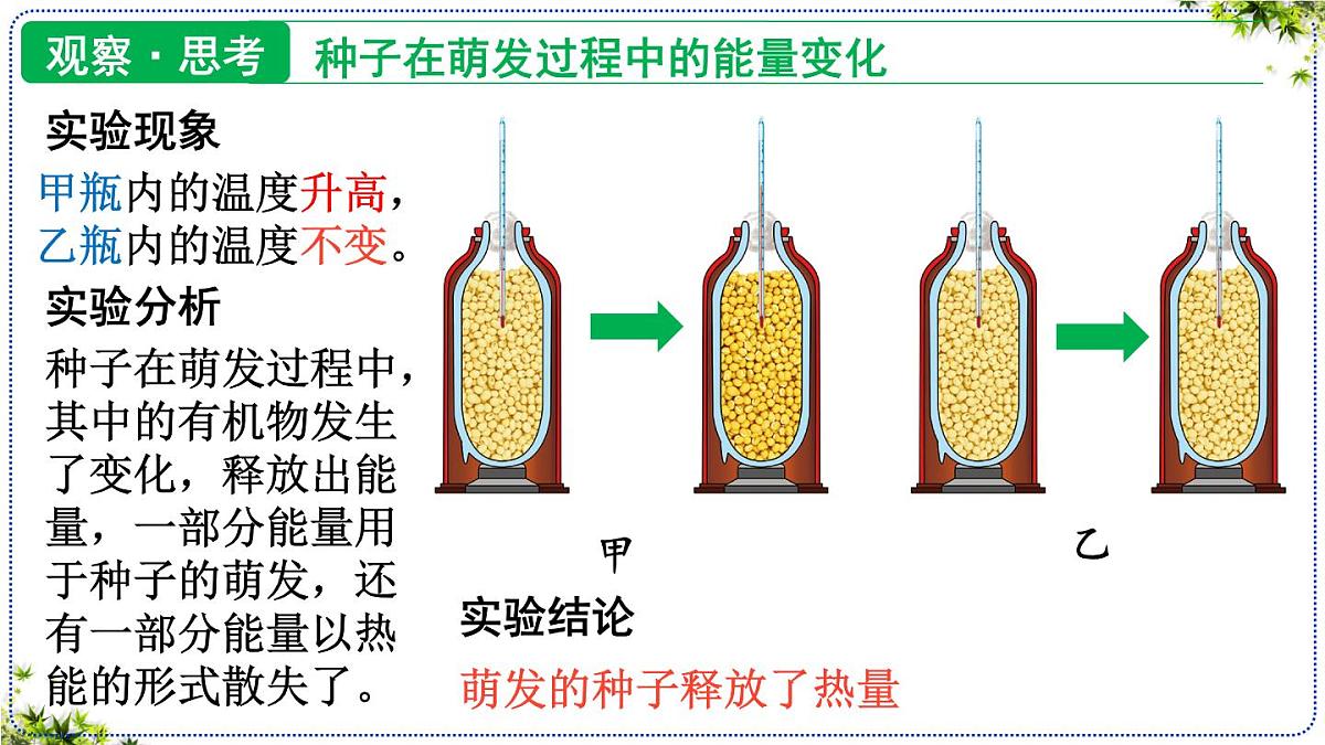 3.2.3 呼吸作用 课件 2025学年人教版生物学七年级下册第6页