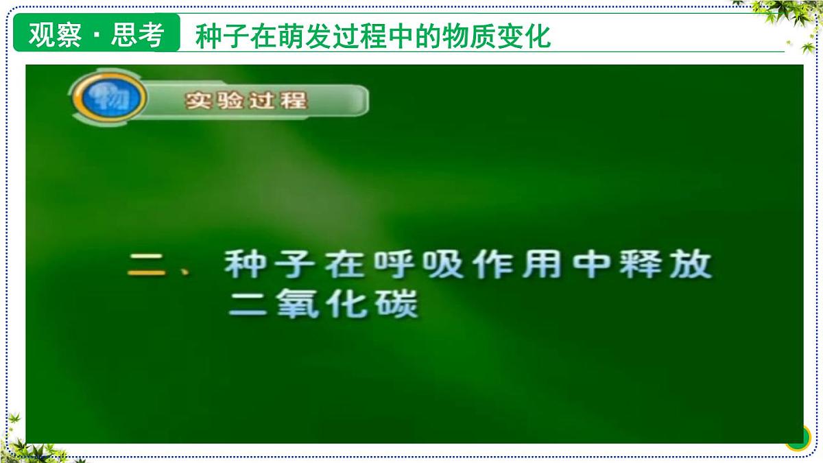 3.2.3 呼吸作用 课件 2025学年人教版生物学七年级下册第8页
