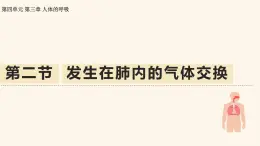 4.3.2 發(fā)生在肺內的氣體交換 課件-2024-2025學年人教版生物七年級下冊