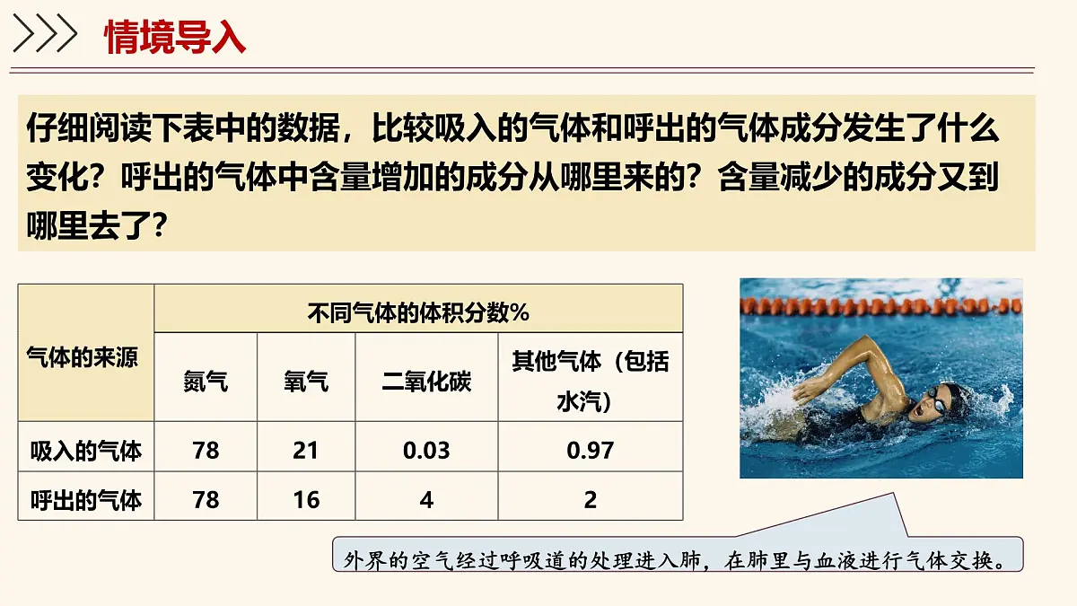 4.3.2 发生在肺内的气体交换 课件-2024-2025学年人教版生物七年级下册第3页
