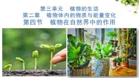 初中人教版（2024）植物在自然界中的作用课堂教学课件ppt
