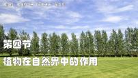 人教版（2024）七年级下册（2024）植物在自然界中的作用图片ppt课件