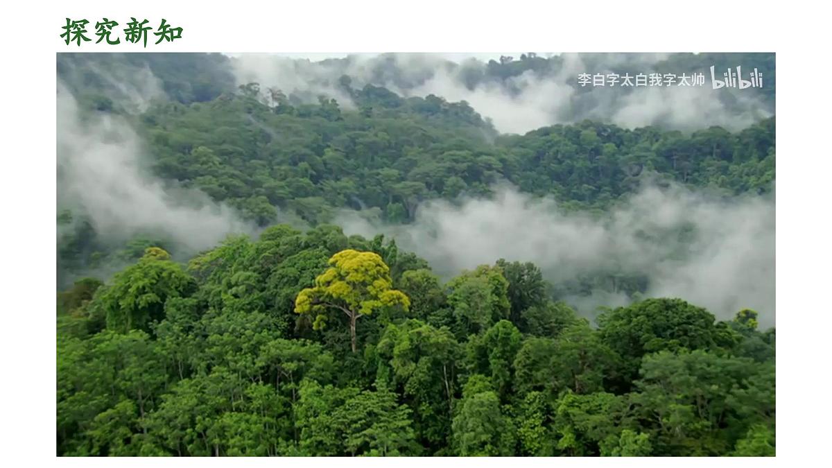3.2.1 水的利用与散失 课件 2025学年人教版生物七年级下册第3页