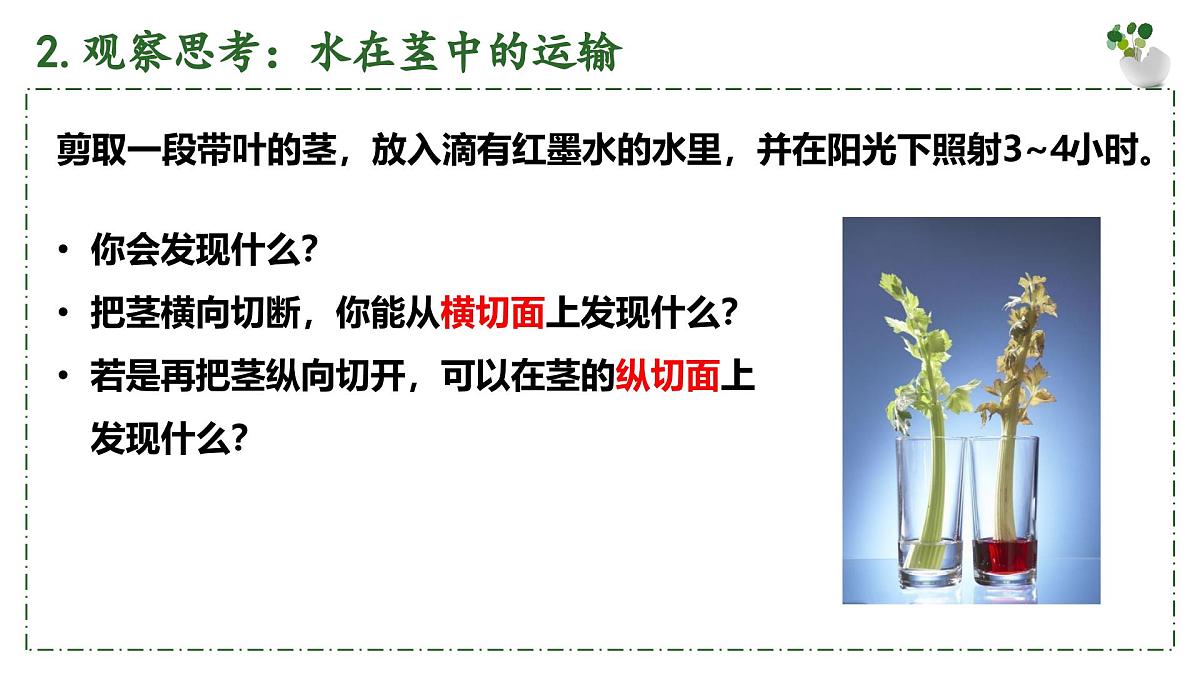 3.2.1 水的利用与散失 课件 2025学年人教版生物七年级下册第6页