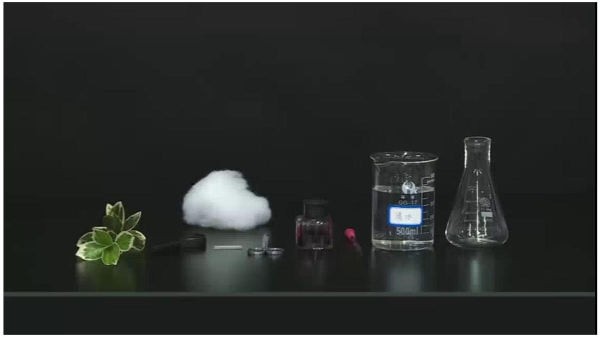3.2.1 水的利用与散失 课件 2025学年人教版生物七年级下册第7页