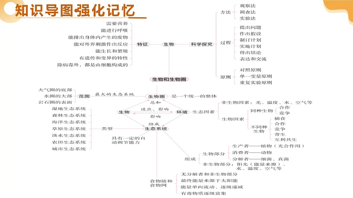 主题三 生物与环境(二轮突破课件)2025年中考生物二轮复习讲练测(湖南专用)第4页