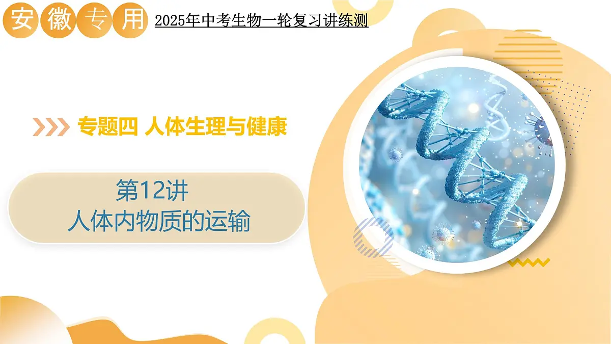 第12讲 人体内物质的运输(精讲课件)2025年中考生物一轮复习讲练测(安徽专用)第1页