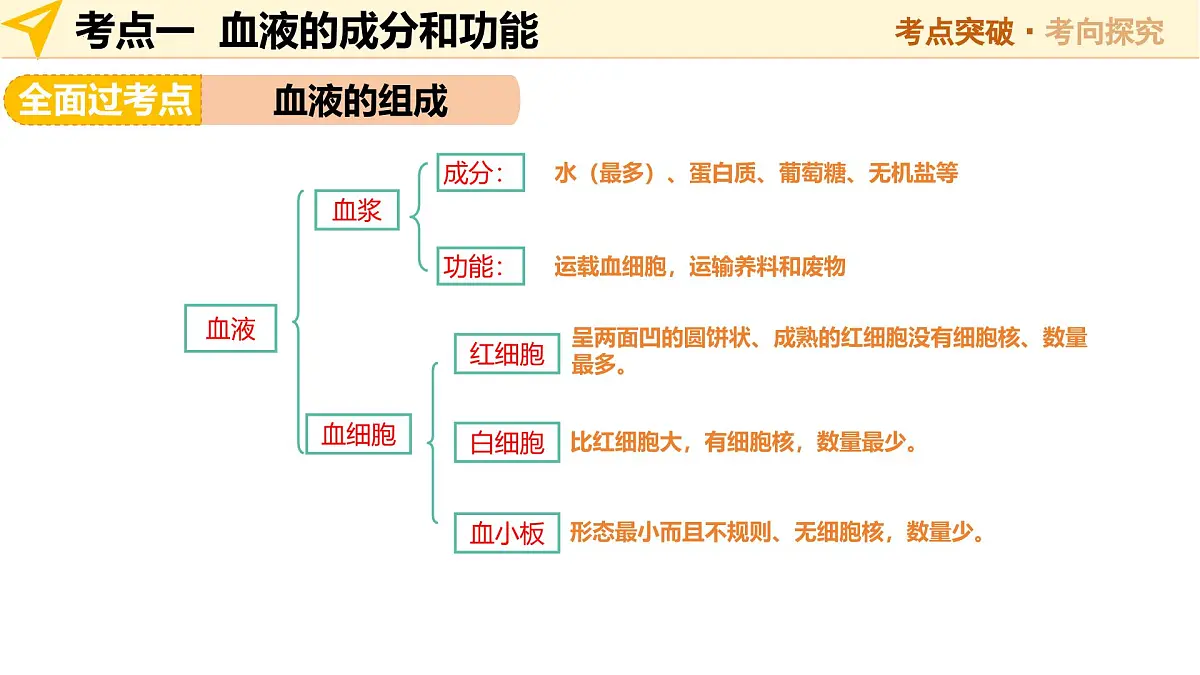 第12讲 人体内物质的运输(精讲课件)2025年中考生物一轮复习讲练测(安徽专用)第6页