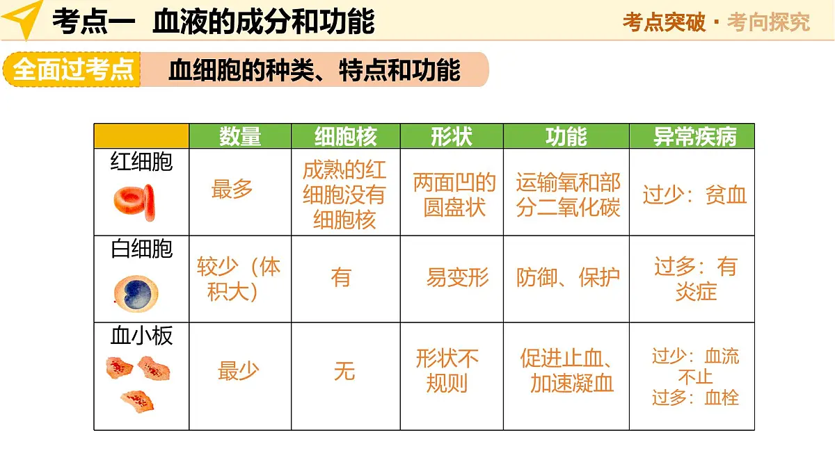 第12讲 人体内物质的运输(精讲课件)2025年中考生物一轮复习讲练测(安徽专用)第7页