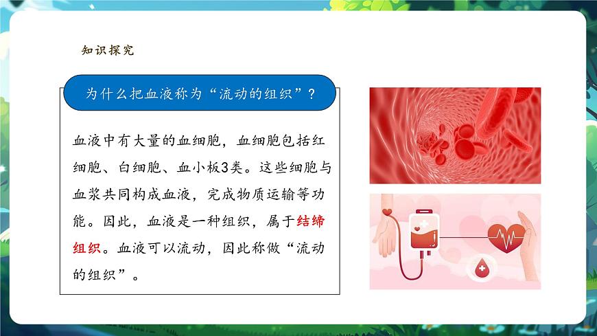 【大單元教學(xué)】人教版生物七下4.4.1流動的組織——血液 課件(共29張PPT)第8頁