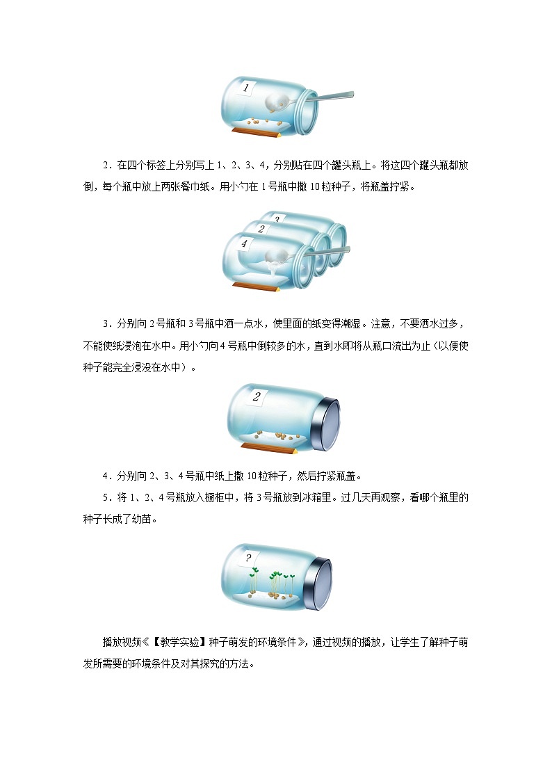 种子的萌发 教案 人教版(2024)生物学七年级下册第3页