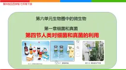 6.1.5 人類對細(xì)菌和真菌的利用-七年級生物下冊（魯科版五四學(xué)制） 課件
