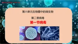 6.2 病毒-七年級生物下冊同步精品課堂（魯科版五四學(xué)制） 課件