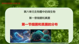 6.1.1 細(xì)菌和真菌的分布-七年級生物下冊（魯科版五四學(xué)制） 課件