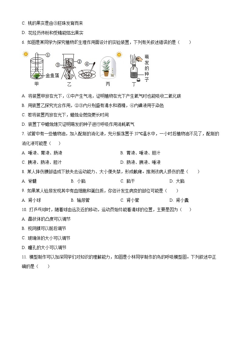 2025年四川省绵阳市安州区八年级中考一模生物试题(原卷版+解析版)第2页