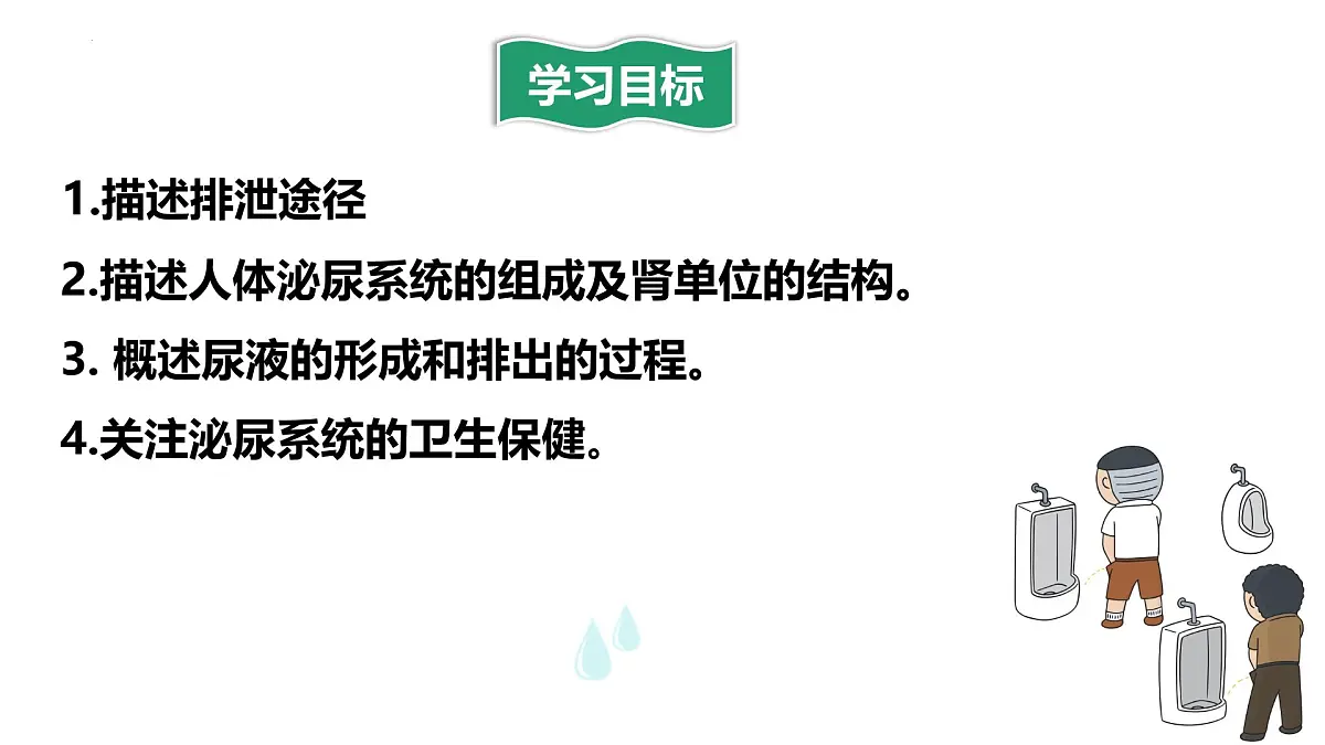 4.5人体内废物的排出课件 2025学年人教版生物七年级下册第4页