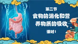 4.6.2 食物的消化和營養(yǎng)物質(zhì)的吸收（第1課時(shí)）2025學(xué)年七年級(jí)生物下學(xué)期 課件
