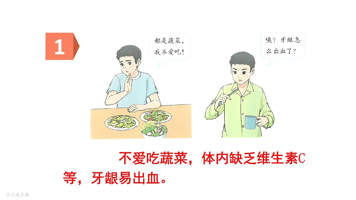 初中生物新人教版七年级下册4.2第三节 合理营养与食品安全教学课件2025春第6页