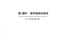 初中生物人教版(2024)七年级下册(2024)消化和吸收教学ppt课件