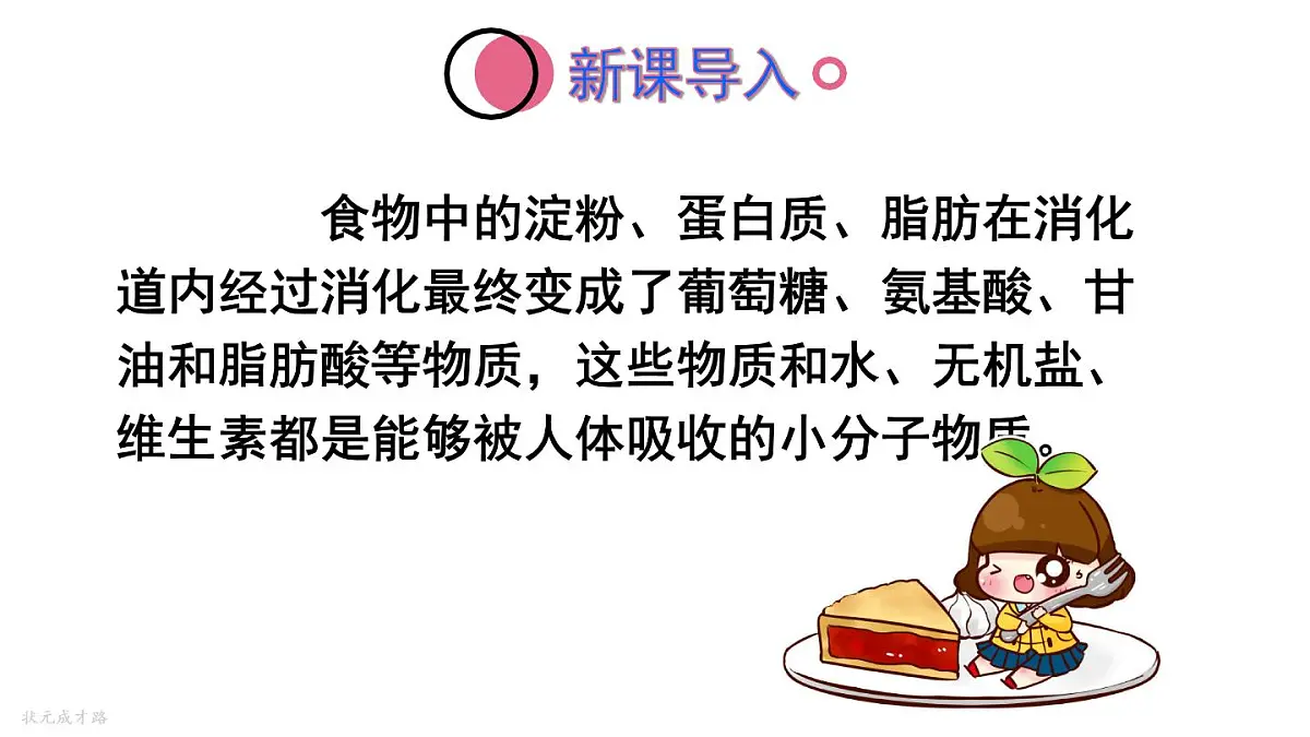 初中生物新人教版七年级下册4.2第二节第二课时 营养物质的吸收教学课件2025春第3页
