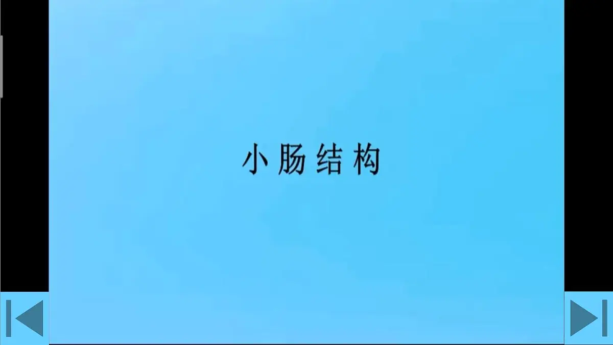 初中生物新人教版七年级下册4.2第二节第二课时 营养物质的吸收教学课件2025春第5页