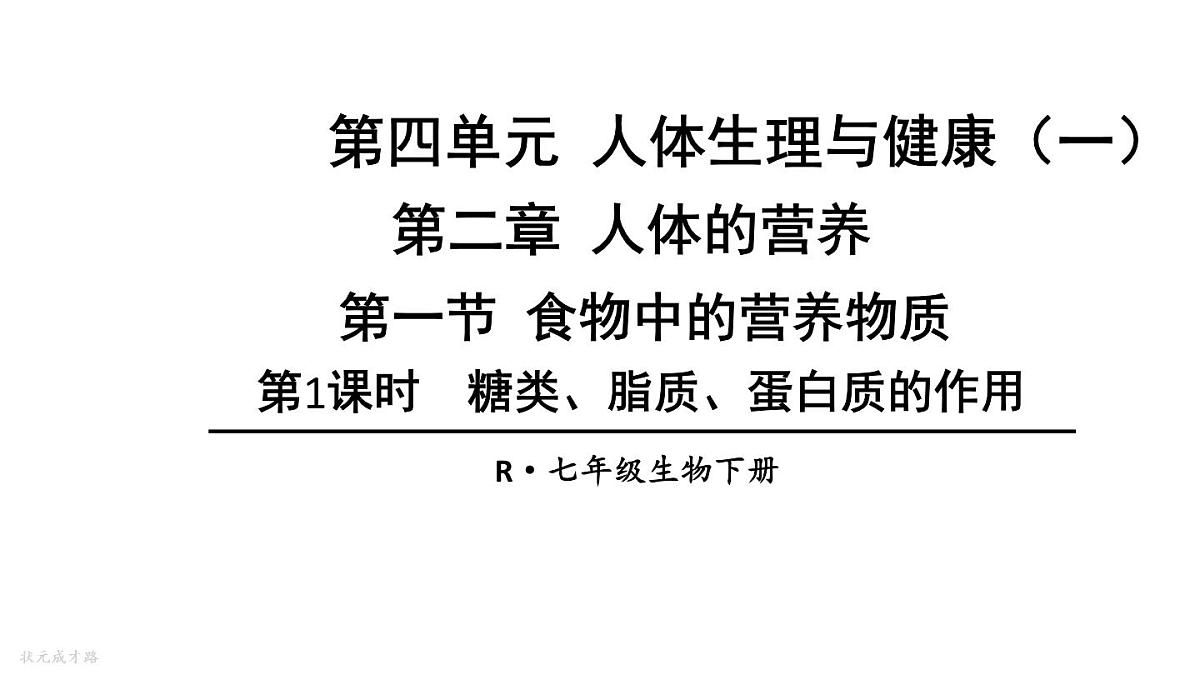 初中生物新人教版七年级下册4.2第一节第一课时 糖类、脂质、蛋白质的作用教学课件2025春第1页