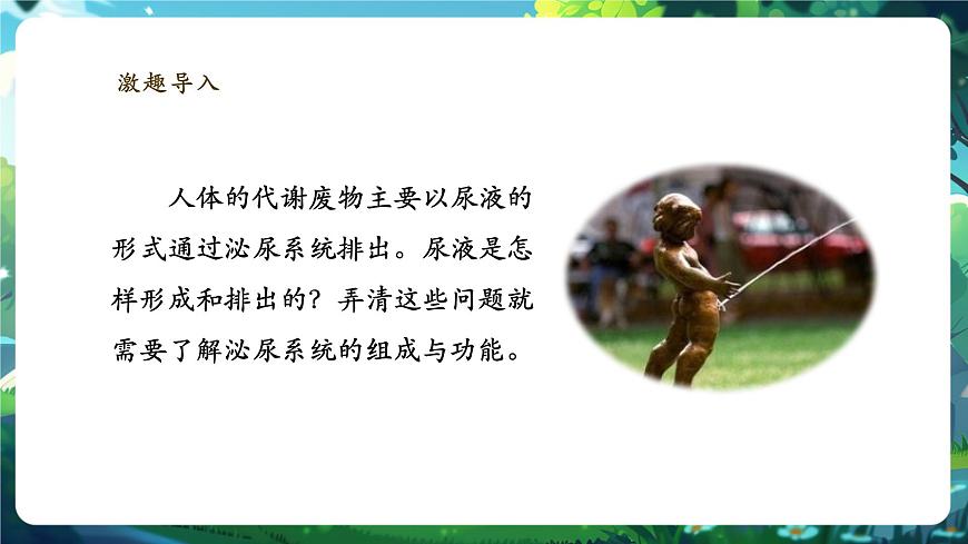 《4.9.2.1尿的形成與排出（第一課時(shí)）》課件第4頁