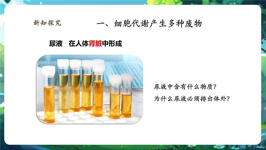 《4.9.1人體產(chǎn)生的代謝廢物》課件第5頁