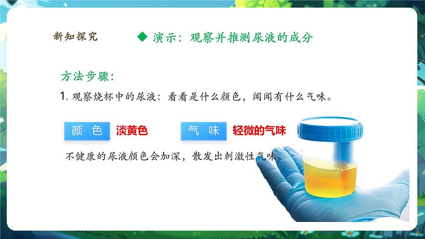 《4.9.1人體產(chǎn)生的代謝廢物》課件第6頁